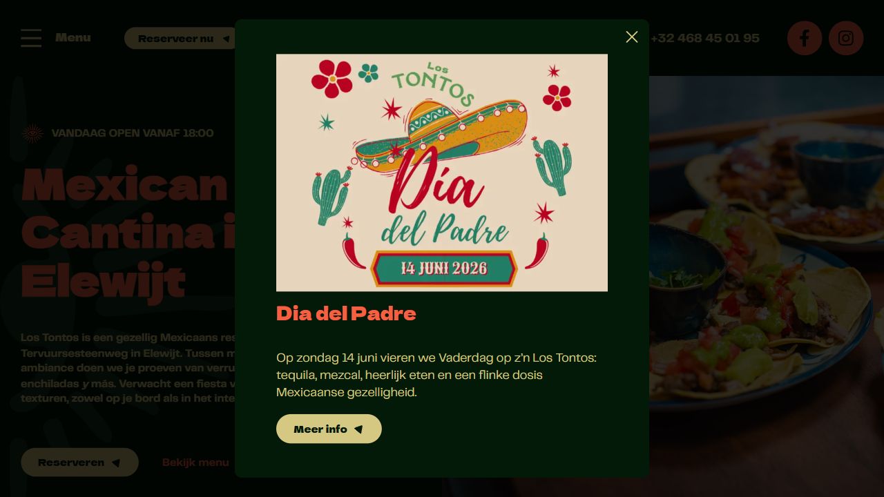 Los Tontos website screenshot